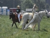 Equitana 2010