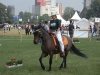 Equitana 2010