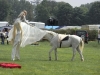 Equitana 2010