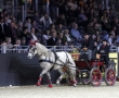 Equitana 2011 - Leon D`Or und Heinz Lottenburger