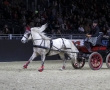 Equitana 2011 - Leon D`Or und Heinz Lottenburger