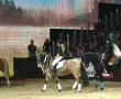 Equitana 2011