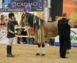 Equitana 2011