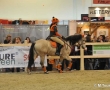 Equitana 2011