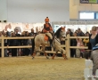 Equitana 2011