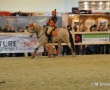 Equitana 2011