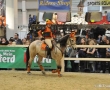 Equitana 2011