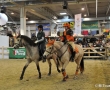 Equitana 2011