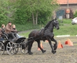 Fahrertag Werl 2010