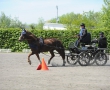 OQS_7679.JPG