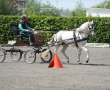 OQS_7700.JPG