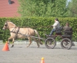 OQS_7730.JPG