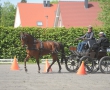 OQS_7737.JPG