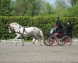 OQS_7760.JPG
