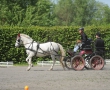 OQS_7764.JPG