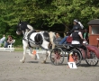 OQS_7775.JPG
