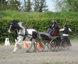 OQS_7779.JPG
