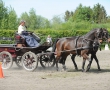 OQS_7793.JPG