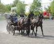 OQS_7801.JPG
