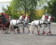 OQS_7815.JPG