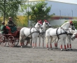 OQS_7816.JPG