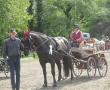 OQS_7890.JPG