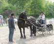 OQS_7914.JPG
