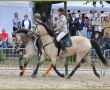 Sommerfest Wickrath