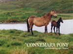 The Connemara Pony 