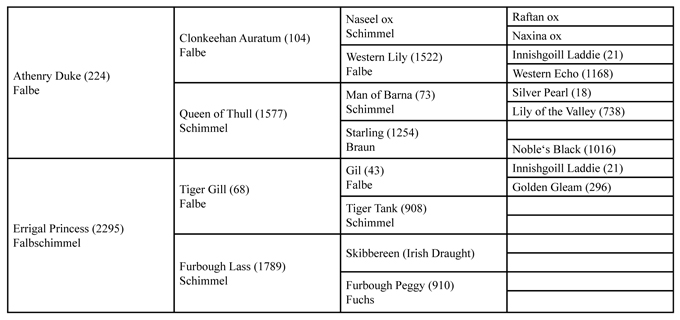 Errigal Count