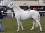 Clifden Silver