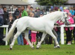 Clifden Silver1